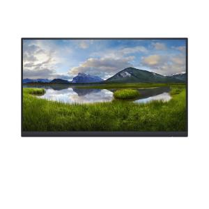 Desktop Monitor -  P2222h - 22in - 1920x1080 - Fhd - No Stand