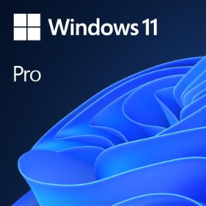 Windows 11 Pro 64bit Oem - 1 Users - Win - English