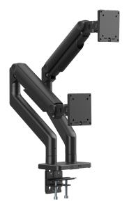 Dual Monitor Mount - 2x 45