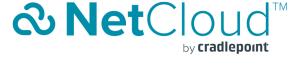 5-yr Netcloud Ess For Branch Eu Perf Routers/support Cr4250