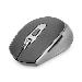 Wireless Optical mouse 6D 2.4 GHz 800/1000/1600 dpi black-grey