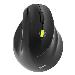 Ergonomic mouse - ERGO - 2.4GHz Bluetooth - Right-Hand - Rechargeable