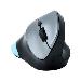 Mouse Bluetouch 245 Ergonomic Optical Bluetooth Black / Grey