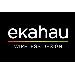 Ekahau Pro Support - Win/mac - 1 Year